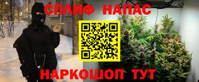 прущие грибы Кунгур