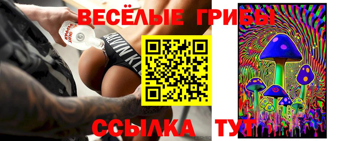 Галлюциногенные грибы Magic Shrooms Вичуга